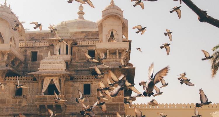 Duiven die vliegen in de buurt van een sierlijk gebouw.