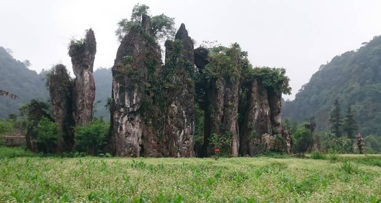 Hoge rotsformaties met groen in een veld.