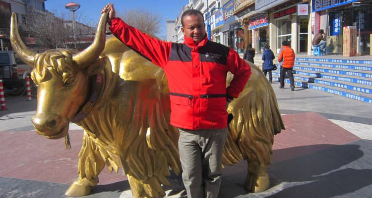 Circuit terrestre au Tibet avec EBC 8 jours - Adventure Himalayan Travels 6