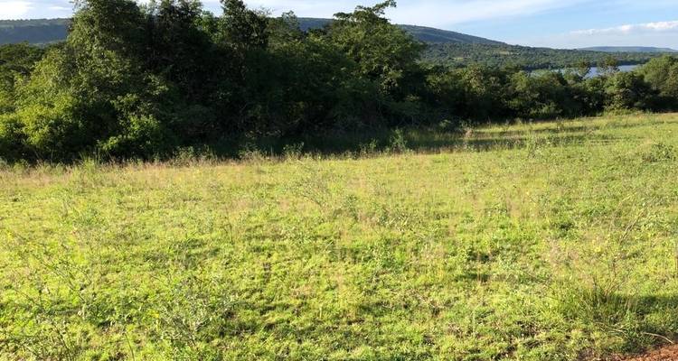 13 Days Rwanda Expedition with Chimpanzees & Gorilla trekking - New Horizon Africa Safaris 6