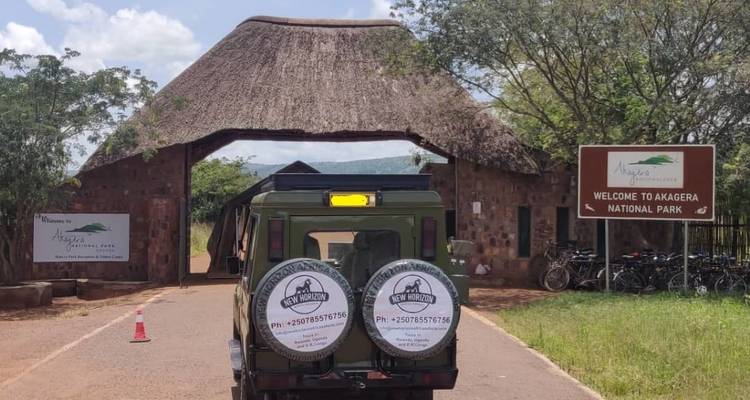 15 jours de safari au Rwanda - New Horizon Africa Safaris 6