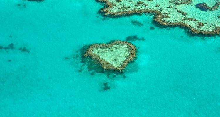 Contrastes entre l'Australie et la Nouvelle-Zélande - Trafalgar 10