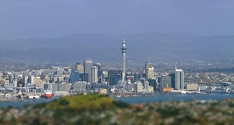 Contrastes entre l'Australie et la Nouvelle-Zélande - Trafalgar 4