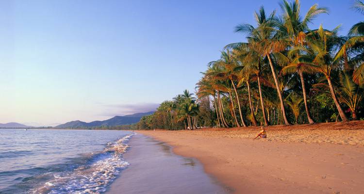 Ruhiger tropischer Strand gesäumt von sich wiegenden Palmen und sanften Wellen bei Sonnenaufgang in der Nähe von Cairns.