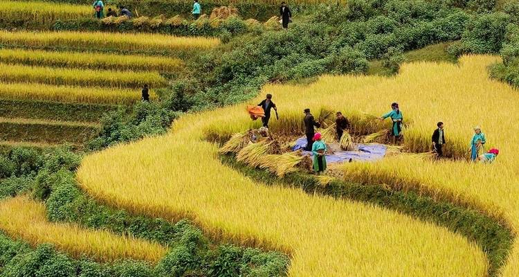 Circuit de Trekking à Sapa 5 jours/4 nuits - Nhat Long Travel Company 8