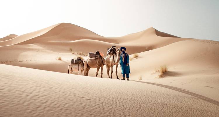 Mann mit Kamelen in Sanddünen.
