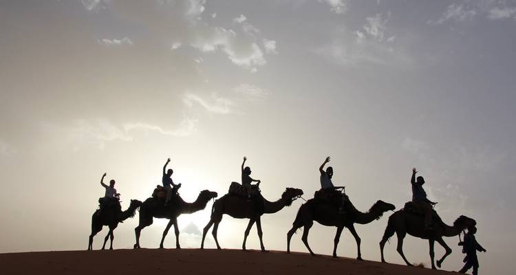 Silhouettes of camels and riders on a desert dune at sunset.