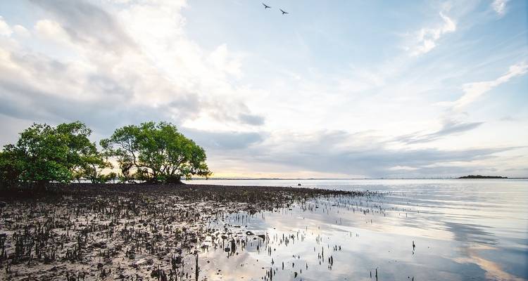 Grandes lugares de interés de Australia con Fiyi - Globus 1