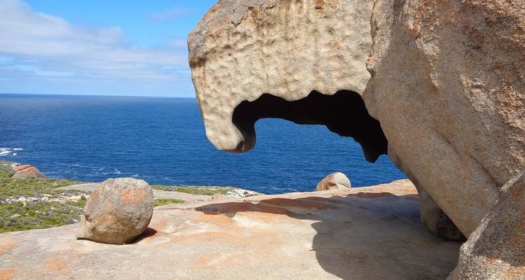 Safari australien - Globus 6
