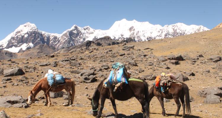 Ausangate campamento excursionismo - Unu Raymi Expeditions 1