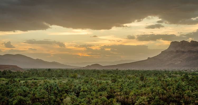 Expansive view of green landscape and distant mountains.