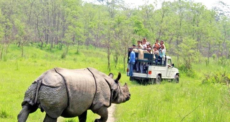 Viaje de lujo a Nepal para mayores de 50 años: Un Circuito Inolvidable por Katmandú, Chitwan, Bandipur y Pokhara - Luxury Holidays Nepal Pvt. Ltd 10