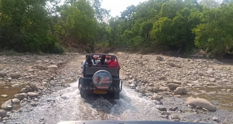 Circuito al triángulo de oro con el Parque Nacional de Jim Corbett - Alkof Holidays 2