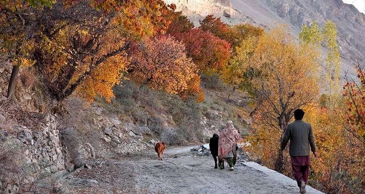 Hunza Autumn Tour - Hunza Explorers 6