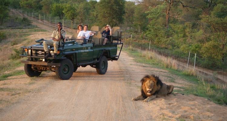 Safari d'aventure à Johannesburg 4 jours/3 nuits - Across Africa Tours & Travel 1
