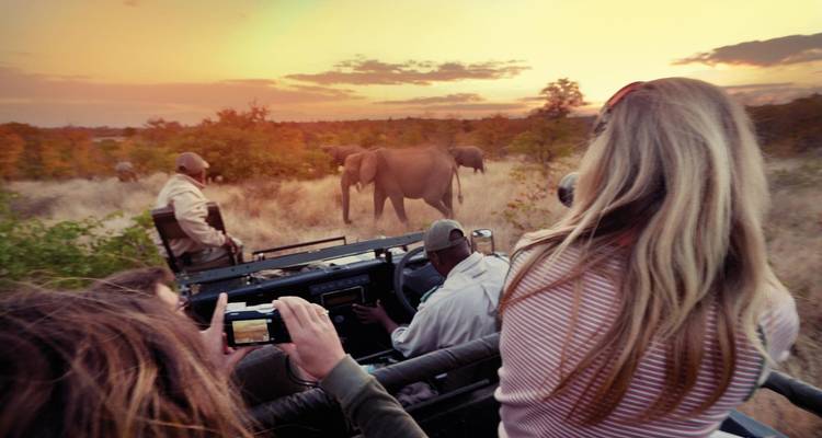 Safari d'aventure à Johannesburg 4 jours/3 nuits - Across Africa Tours & Travel 4
