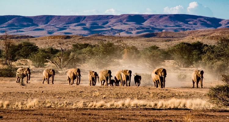 Safari exprés a Etosha 3 días / 2 noches - Across Africa Tours & Travel 1