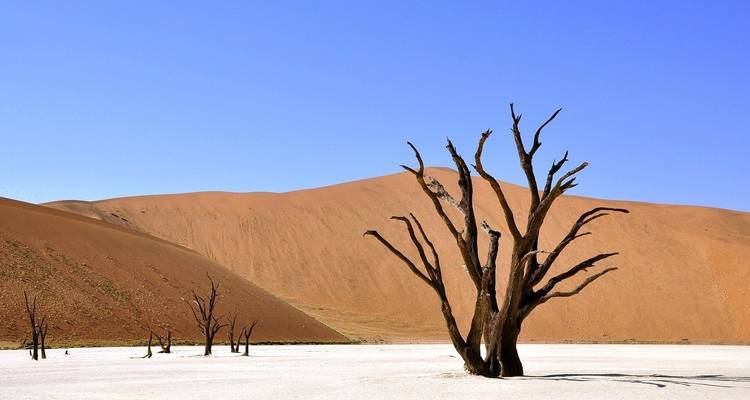 7 días / 6 noches Parque Nacional de Sossusvlei, Swakopmund y Etosha - Across Africa Tours & Travel 3