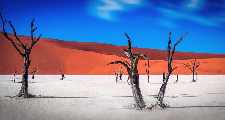 7 días / 6 noches Parque Nacional de Sossusvlei, Swakopmund y Etosha - Across Africa Tours & Travel 7