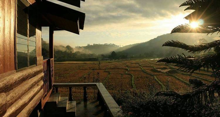 Amanecer sobre campos en terrazas con montañas brumosas.
