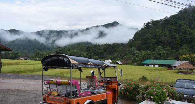 Tuk-tuk estacionado frente a un campo exuberante con montañas.