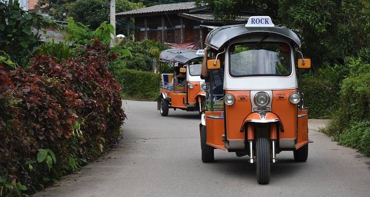 Tuk-tuks viajando por un camino frondoso.