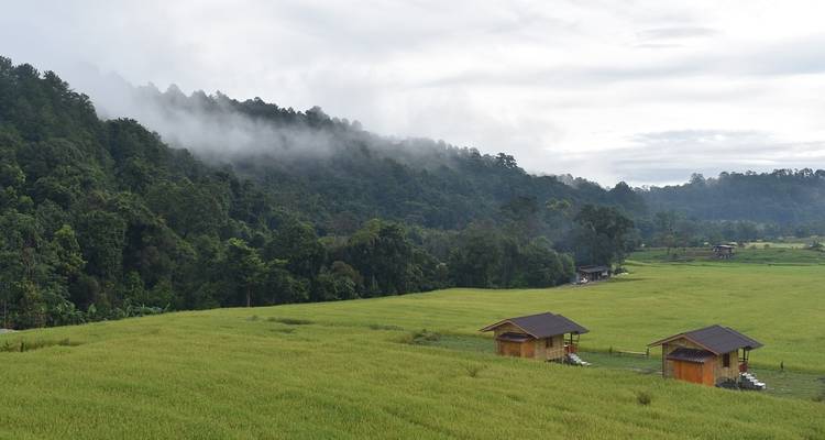 Pequeñas cabañas de madera contra un bosque y cielo nublado.