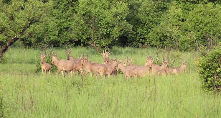 Safari aventure au Ghana 8 jours / 7 nuits - Confort - Across Africa Tours & Travel 6