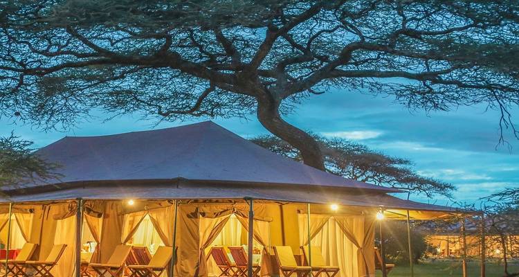 Safari de 4 días por la vida salvaje del valle del Rift - Grupo pequeño - Adventure Makers Tanzania 7