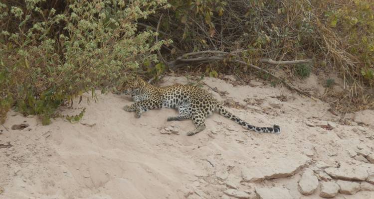 9 jours de safari aérien dans les joyaux du sud de la Tanzanie - Adventure Makers Tanzania 2