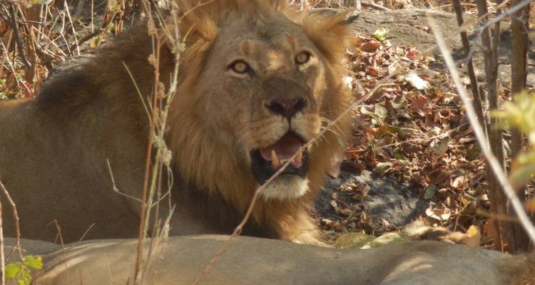 9 jours de safari aérien dans les joyaux du sud de la Tanzanie - Adventure Makers Tanzania 10