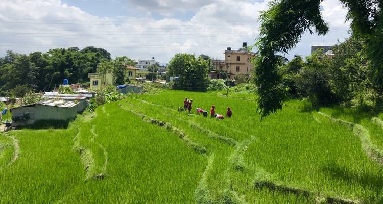 Yoga and Cultural Hike Tour in Kathmandu - Asian Heritage Treks & Expeditions 9