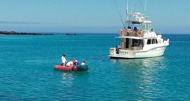 Les Galapagos en bref - True Ecuador Travel 9