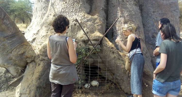 Senegal Highlights 8 Days / 7 Nights ( Comfort) - Across Africa Tours & Travel 1