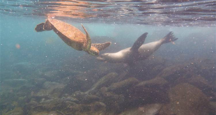 Galapagos Insight - True Ecuador Travel 4