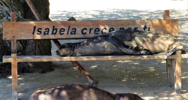 Galapagos Insight - True Ecuador Travel 3