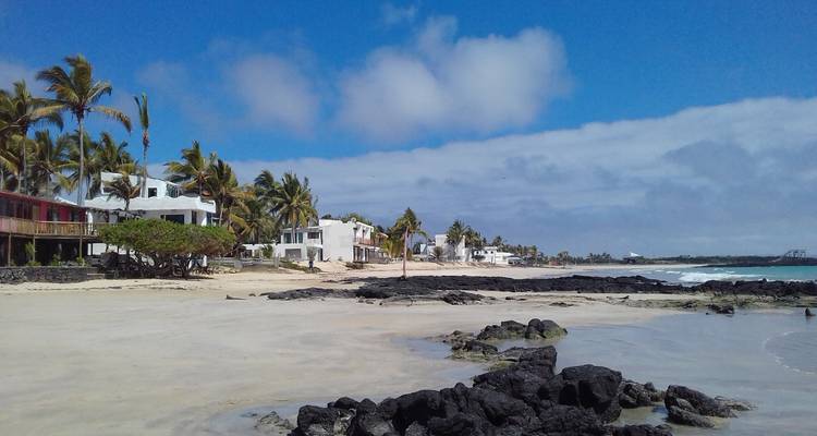 Galápagos al descubierto - True Ecuador Travel 9