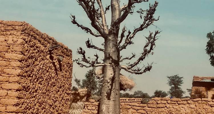 Un voyage à travers la culture, les traditions et les sultanats historiques du Niger 9 jours/8 nuits - Across Africa Tours & Travel 7