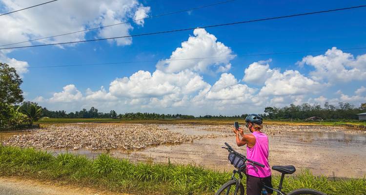 Un cycliste s'arrête pour photographier un vaste champ de riz sous des nuages bouffants avec un vélo au premier plan.