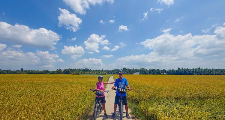 Deux cyclistes se tiennent au milieu d'un vaste champ de riz doré sous un ciel bleu éclatant.