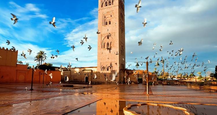 Koutoubia-Moschee-Turm in Marrakesch mit einer Vogelschar vor lebendigem Morgenhimmel und Spiegelungen auf dem nassen Platz.