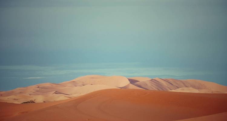 Oasis & Desert, 4 days, Private tour - Destination Services Morocco 7
