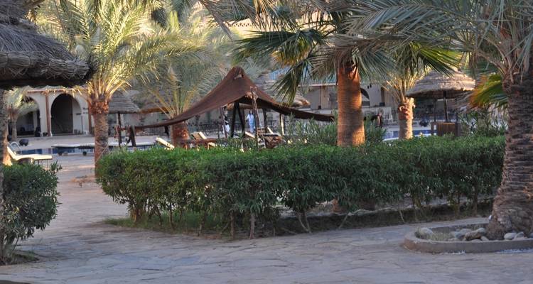 Zone de villégiature avec palmiers et sièges.