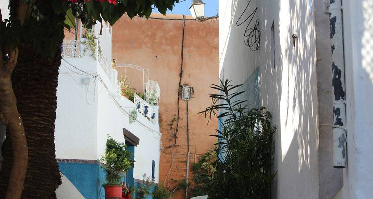 Ruelle étroite avec des plantes et des murs colorés.