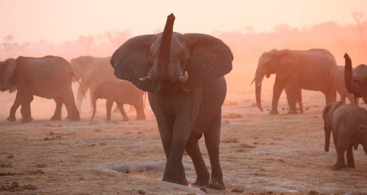 Best of Zimbabwe Experience 6 Days 5 Nights (Comfort Plus) - Across Africa Tours & Travel 2