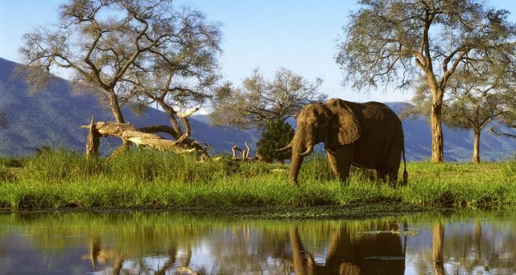 Best of Zimbabwe Experience 6 Days 5 Nights (Comfort Plus) - Across Africa Tours & Travel 4
