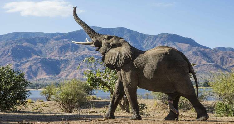 Best of Zimbabwe Experience 6 Days 5 Nights (Comfort Plus) - Across Africa Tours & Travel 6