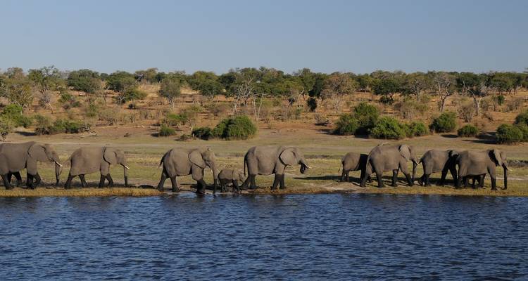Le meilleur du Zimbabwe 6 jours et 5 nuits - Across Africa Tours & Travel 2