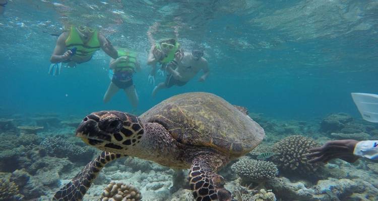 Visite libre des Maldives et de l'île de Malé Nord - 7 nuits - Secret Paradise 7