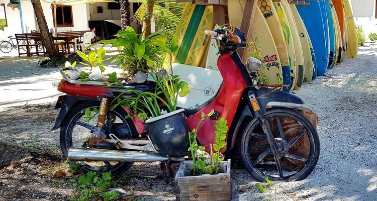 Visite libre des Maldives et de l'île de Malé Nord - 7 nuits - Secret Paradise 8